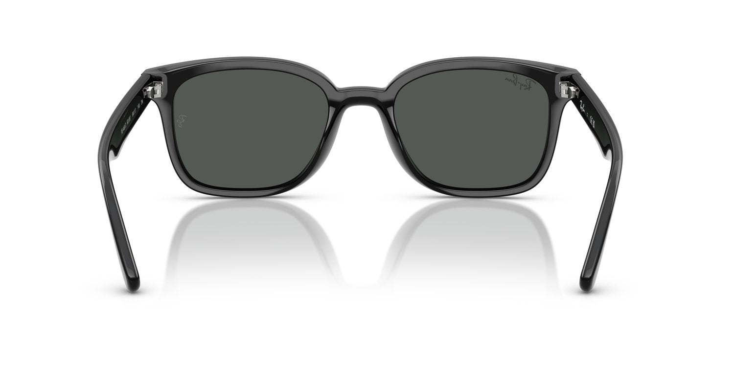 Ray-Ban | 0RB4461D