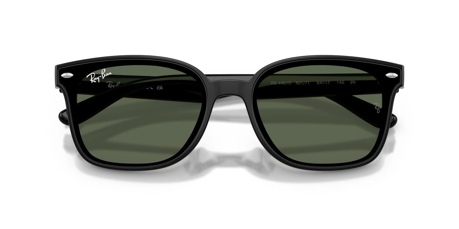 Ray-Ban | 0RB4461D