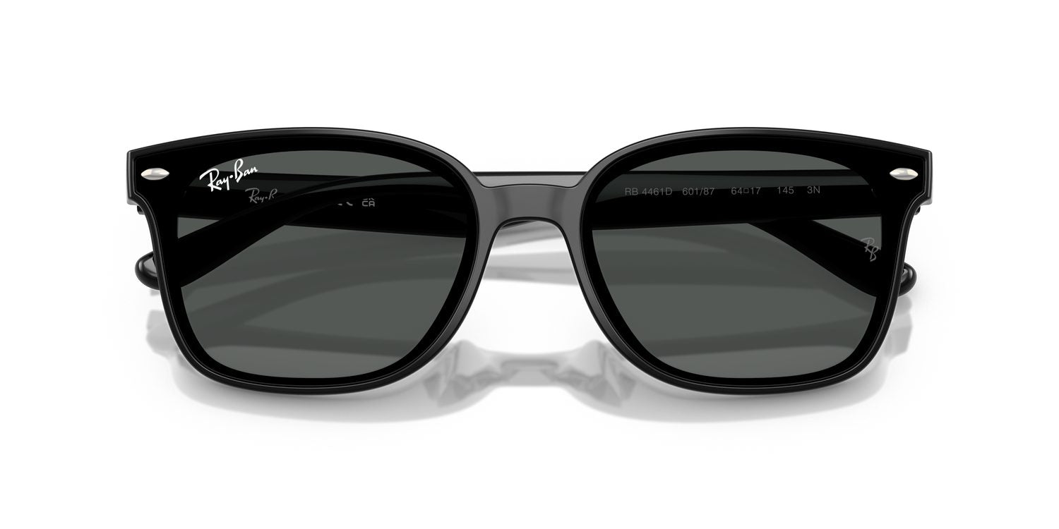 Ray-Ban | 0RB4461D