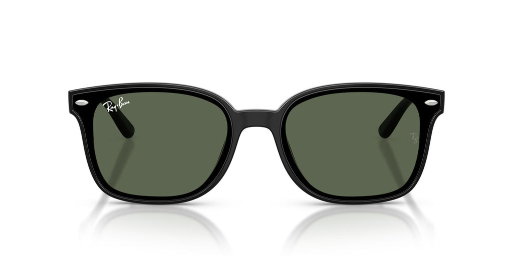 Ray-Ban | 0RB4461D