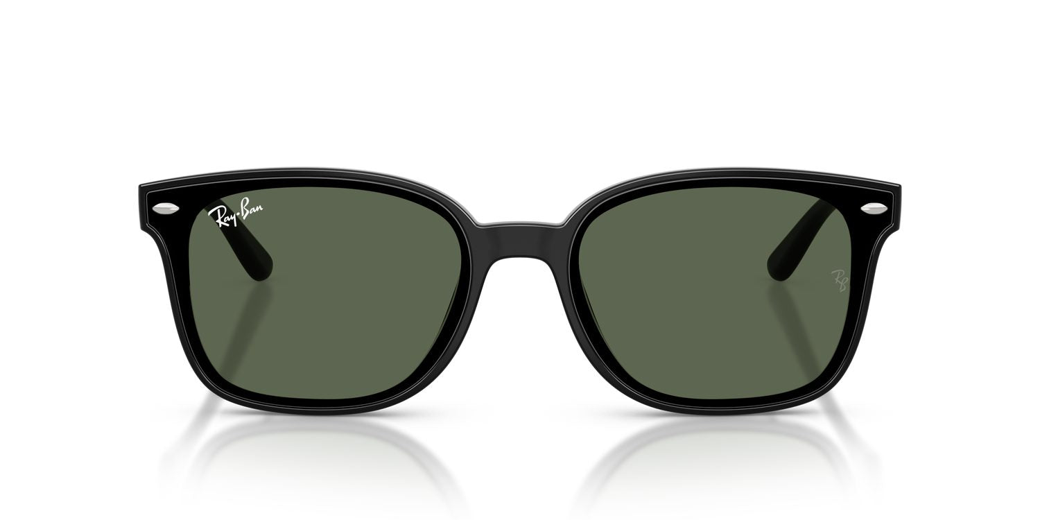 Ray-Ban | 0RB4461D