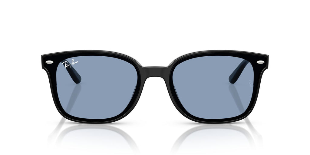Ray-Ban | 0RB4461D