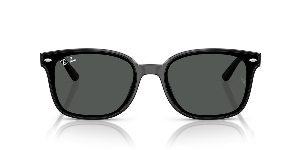 Ray-Ban | 0RB4461D