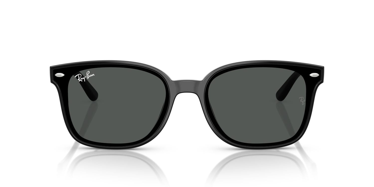 Ray-Ban | 0RB4461D