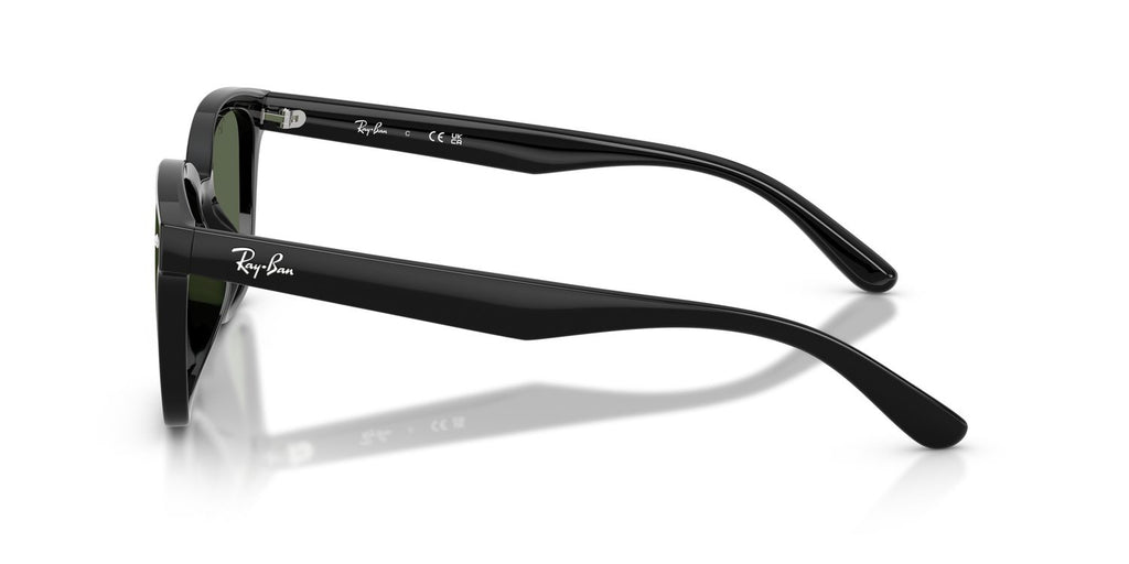 Ray-Ban | 0RB4461D