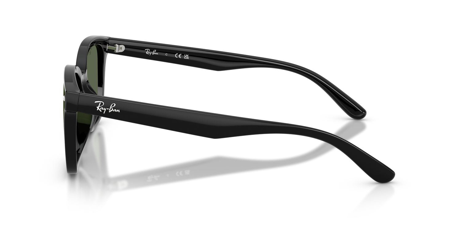 Ray-Ban | 0RB4461D