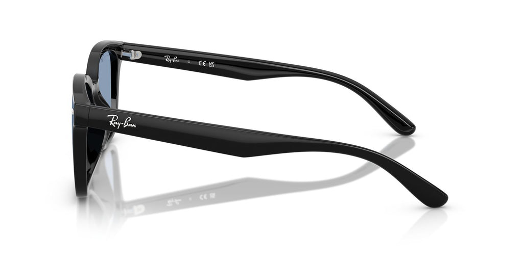 Ray-Ban | 0RB4461D