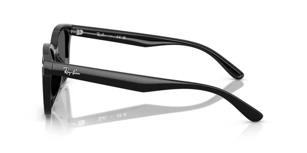 Ray-Ban | 0RB4461D