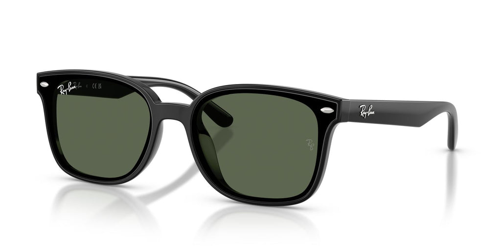 Ray-Ban | 0RB4461D