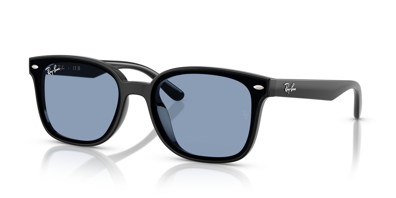 Ray-Ban | 0RB4461D