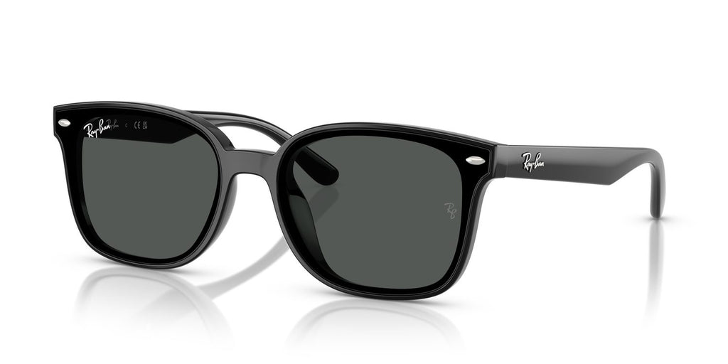 Ray-Ban | 0RB4461D