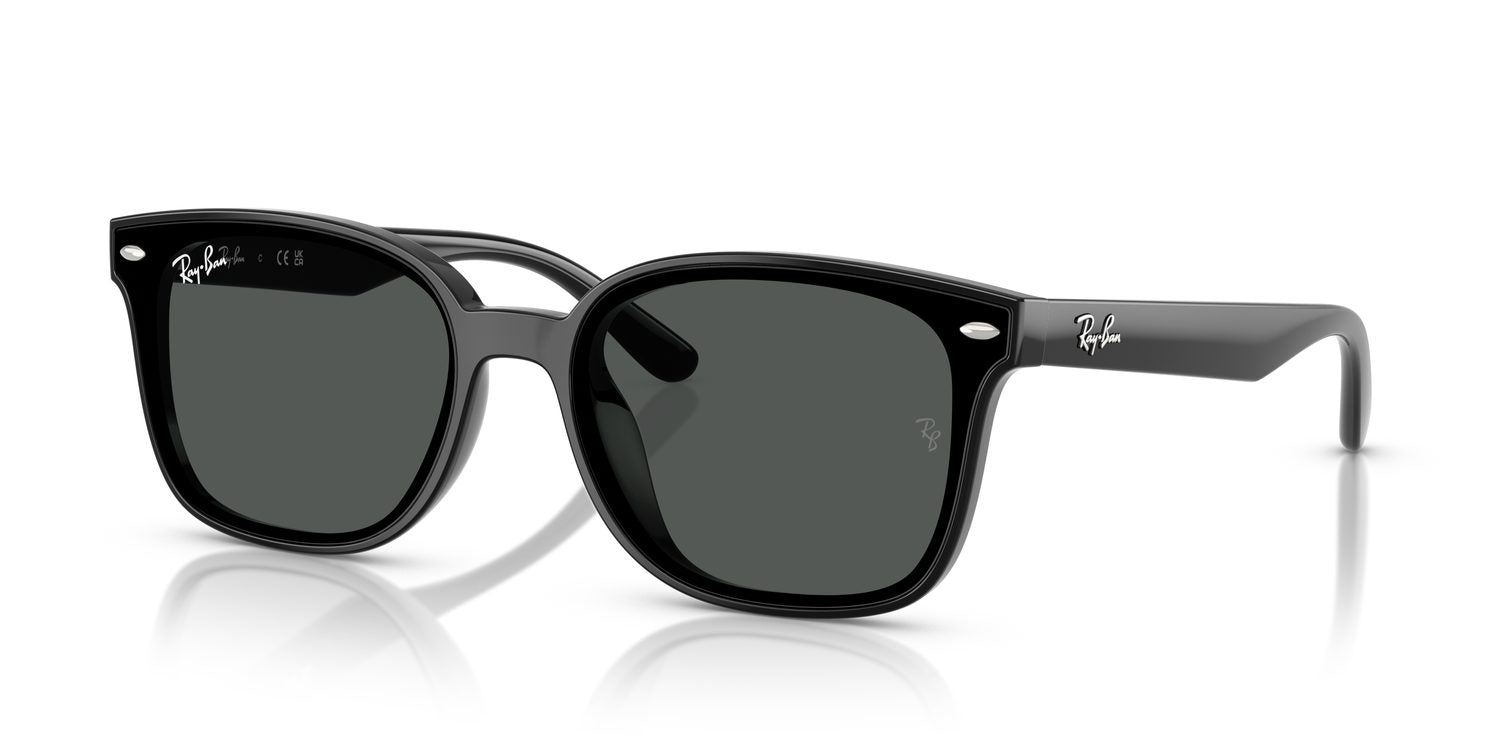 Ray-Ban | 0RB4461D