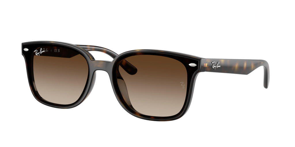 Ray-Ban | 0RB4461D