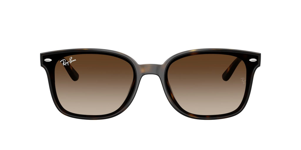 Ray-Ban | 0RB4461D