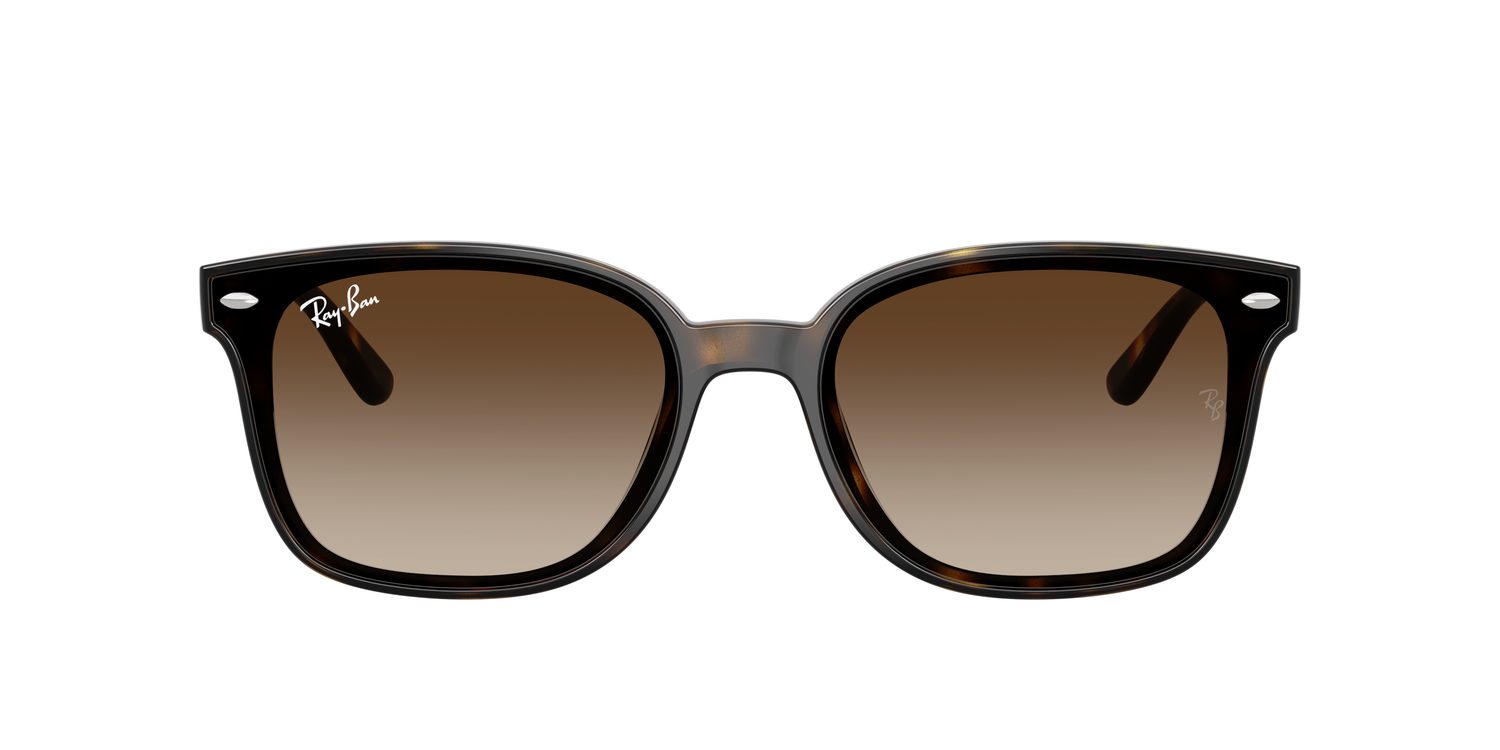 Ray-Ban | 0RB4461D