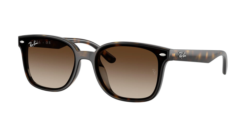 Ray-Ban | 0RB4461D