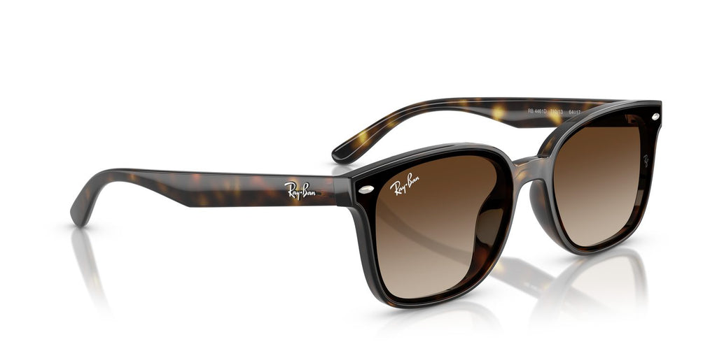 Ray-Ban | 0RB4461D