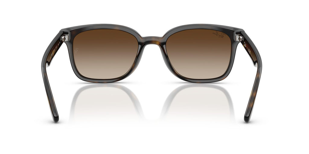 Ray-Ban | 0RB4461D