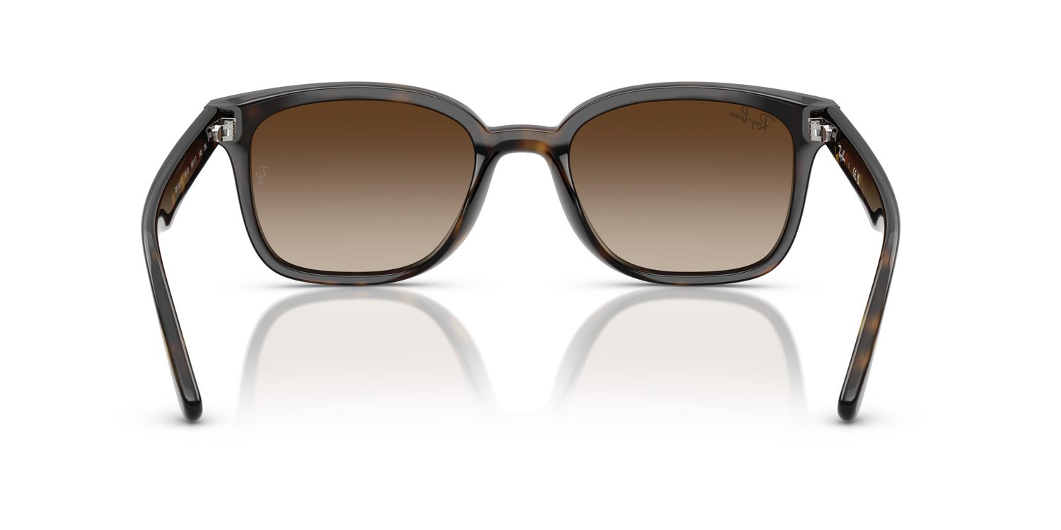 Ray-Ban | 0RB4461D
