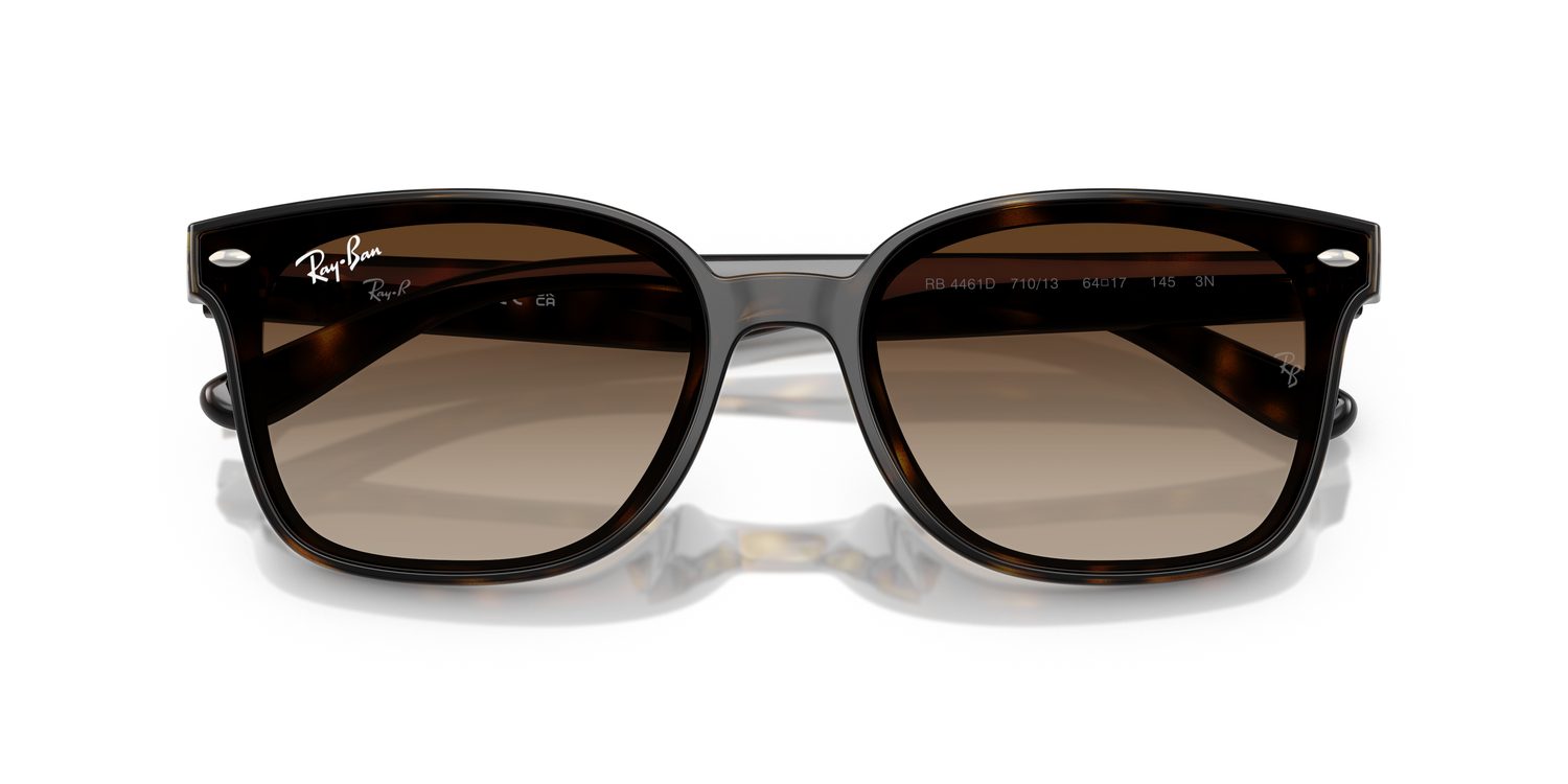Ray-Ban | 0RB4461D