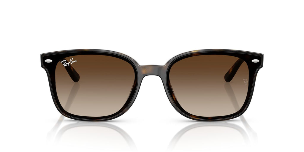 Ray-Ban | 0RB4461D
