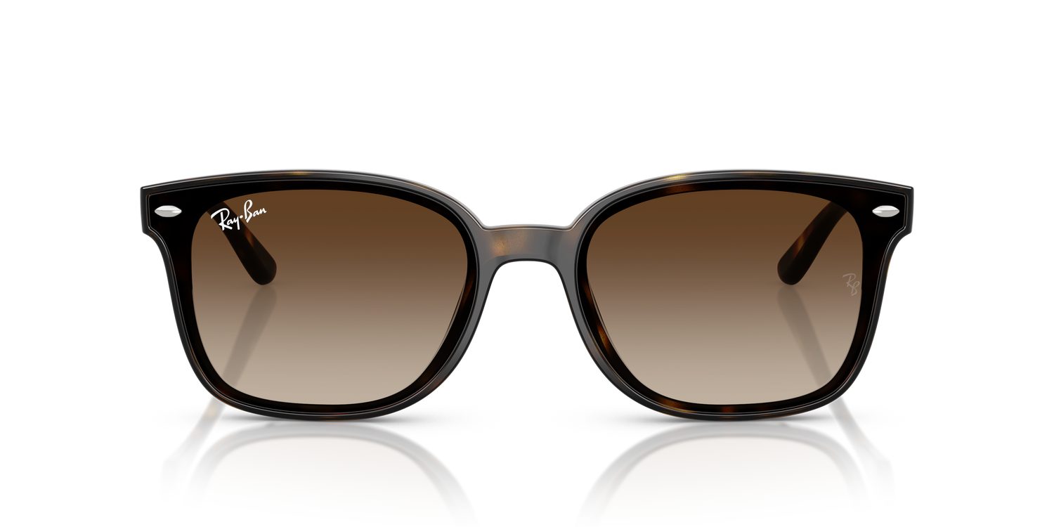 Ray-Ban | 0RB4461D