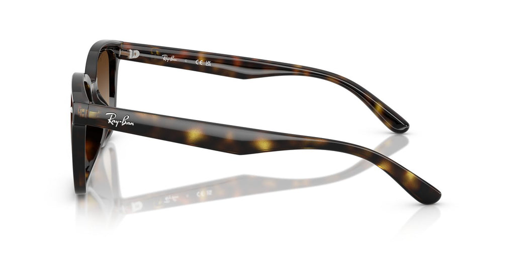 Ray-Ban | 0RB4461D