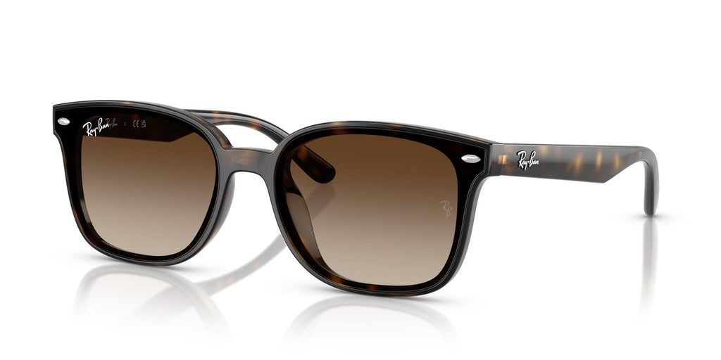 Ray-Ban | 0RB4461D