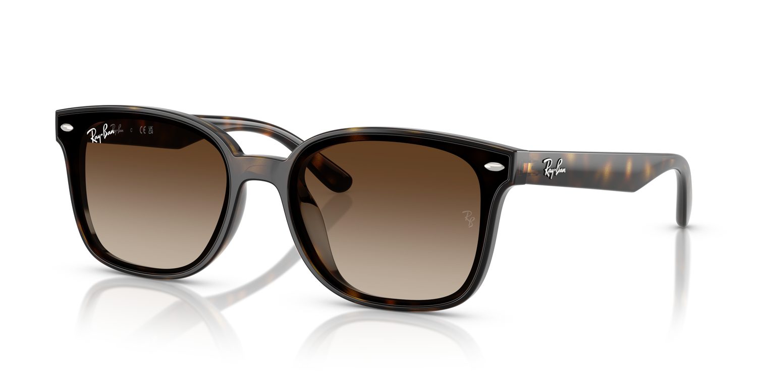 Ray-Ban | 0RB4461D