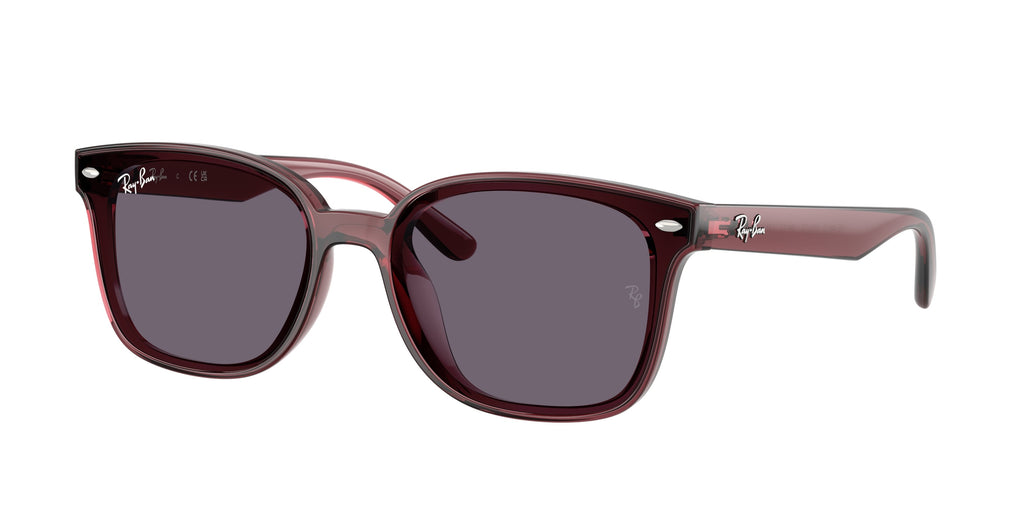 Ray-Ban | 0RB4461D