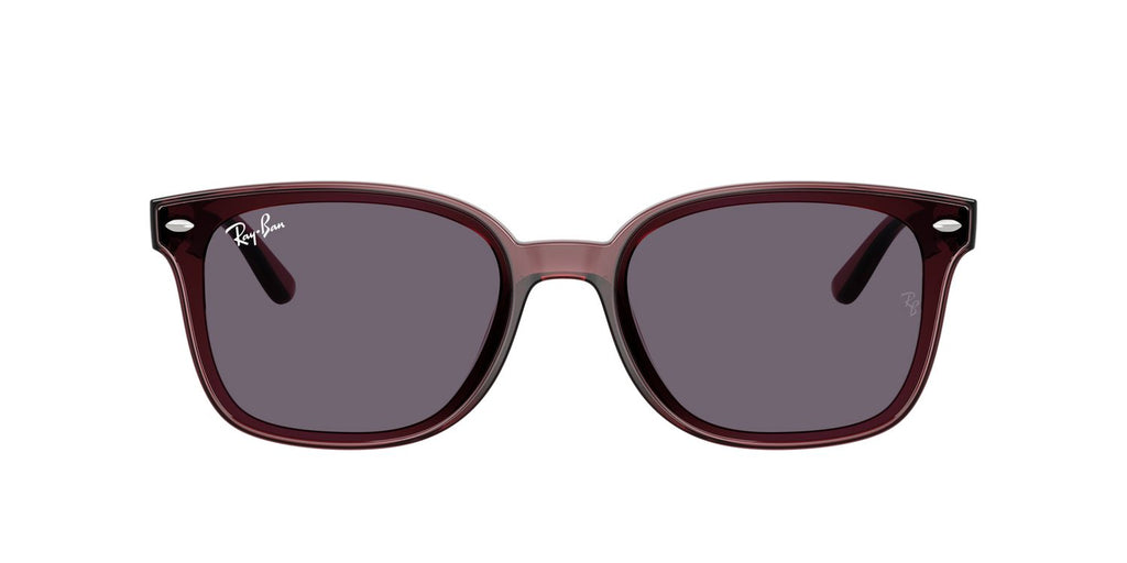 Ray-Ban | 0RB4461D