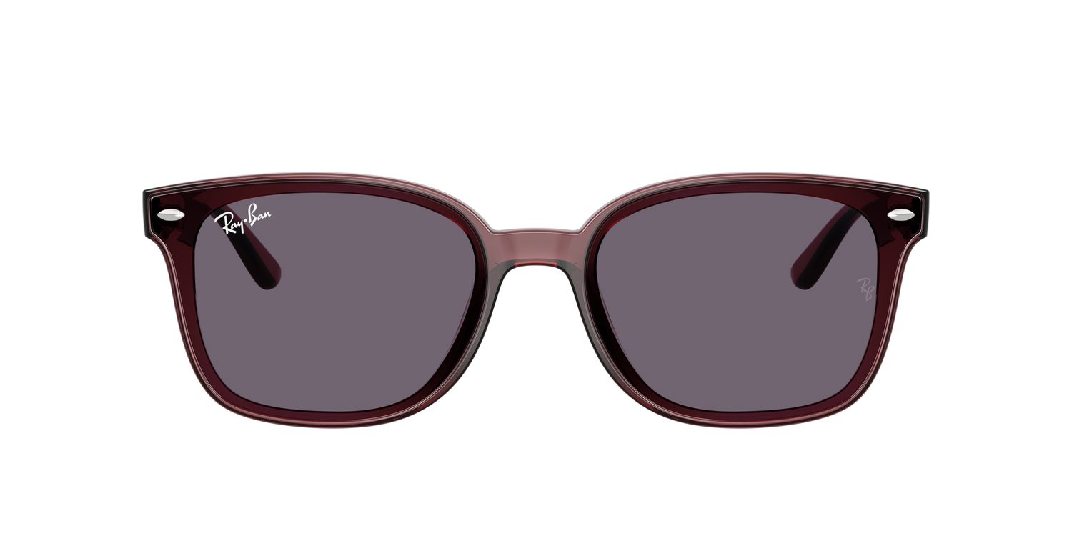 Ray-Ban | 0RB4461D