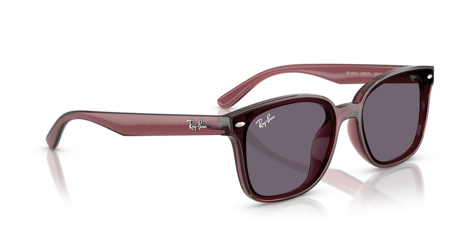 Ray-Ban | 0RB4461D