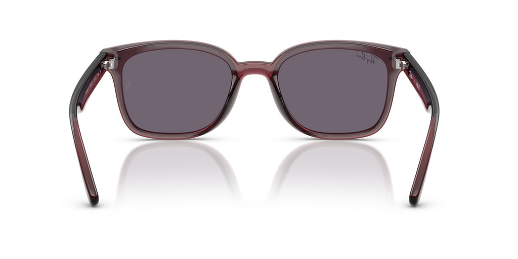 Ray-Ban | 0RB4461D