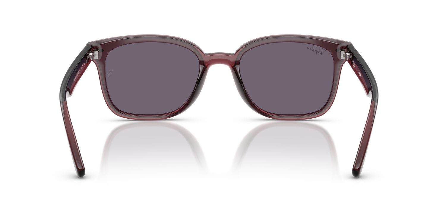 Ray-Ban | 0RB4461D