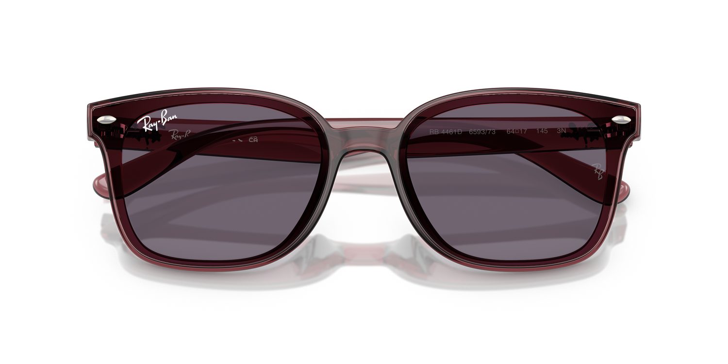 Ray-Ban | 0RB4461D