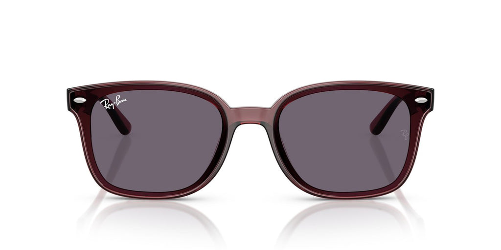 Ray-Ban | 0RB4461D