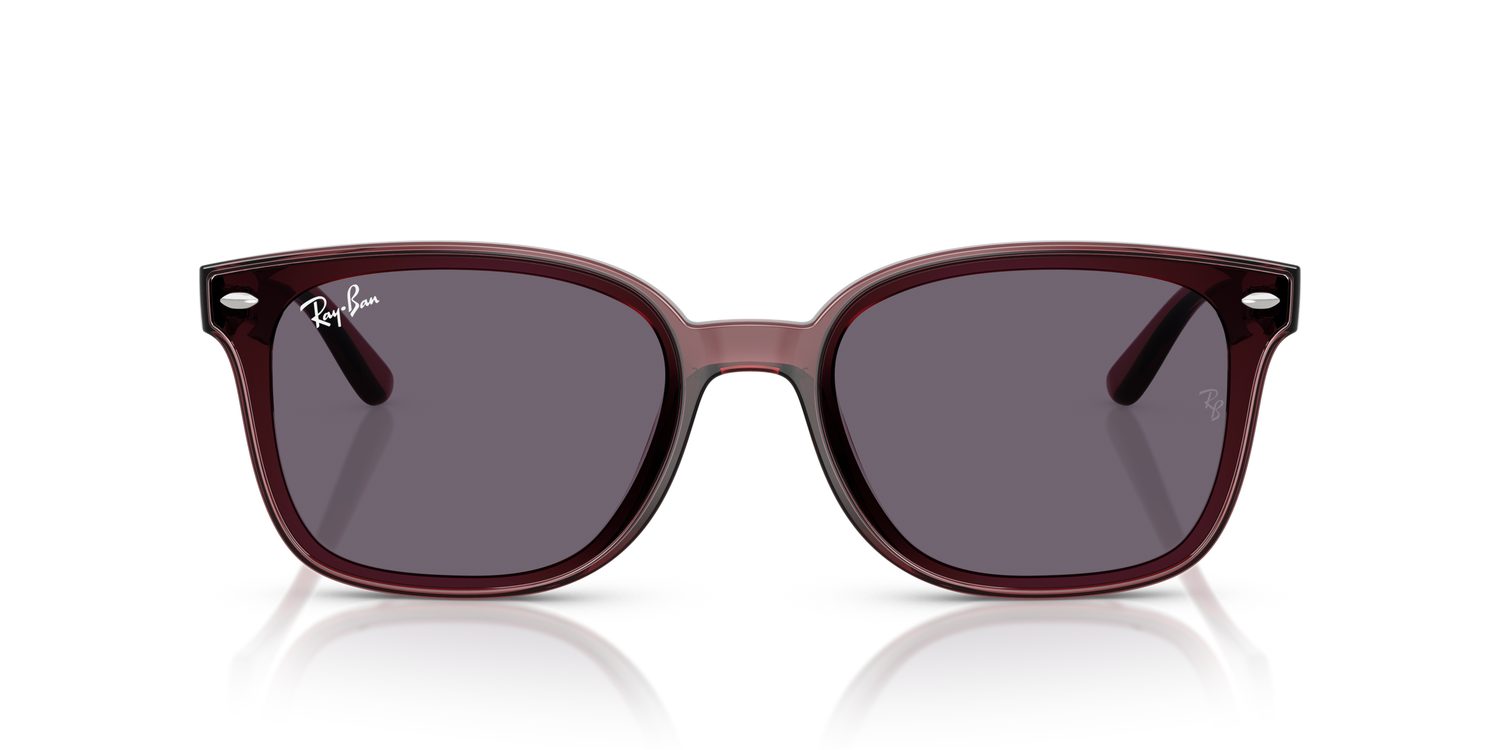 Ray-Ban | 0RB4461D