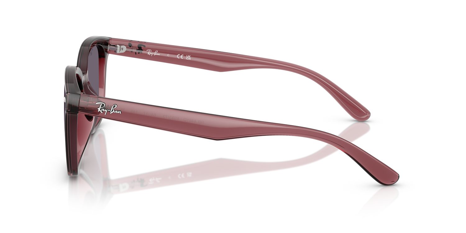 Ray-Ban | 0RB4461D