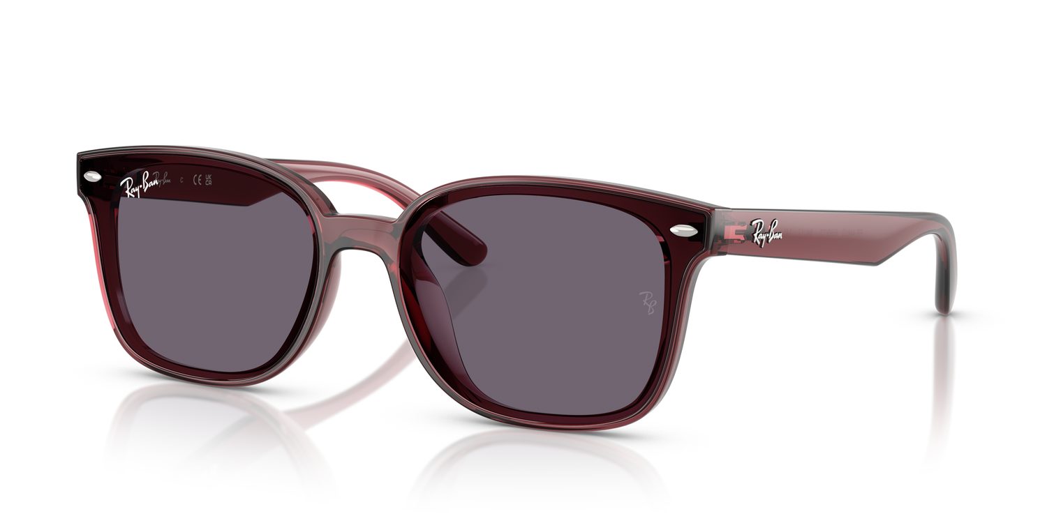 Ray-Ban | 0RB4461D
