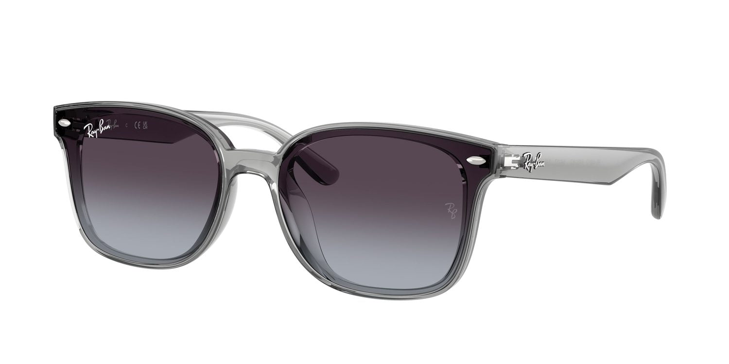 Ray-Ban | 0RB4461D