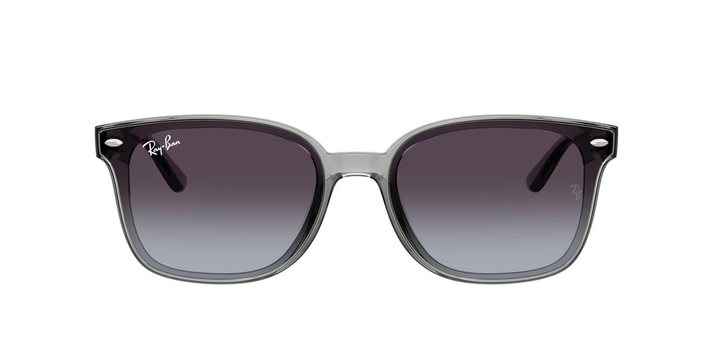 Ray-Ban | 0RB4461D