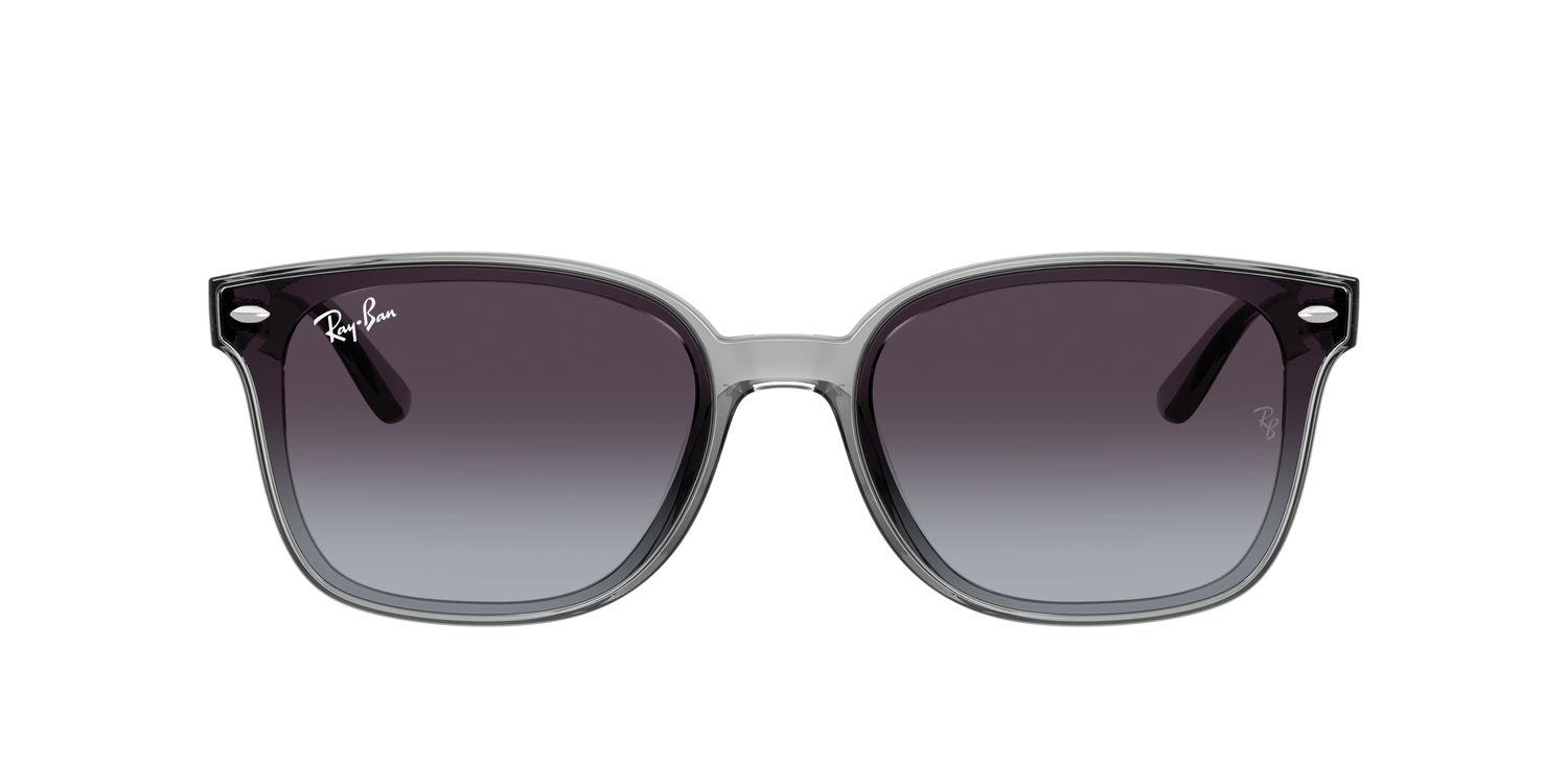 Ray-Ban | 0RB4461D