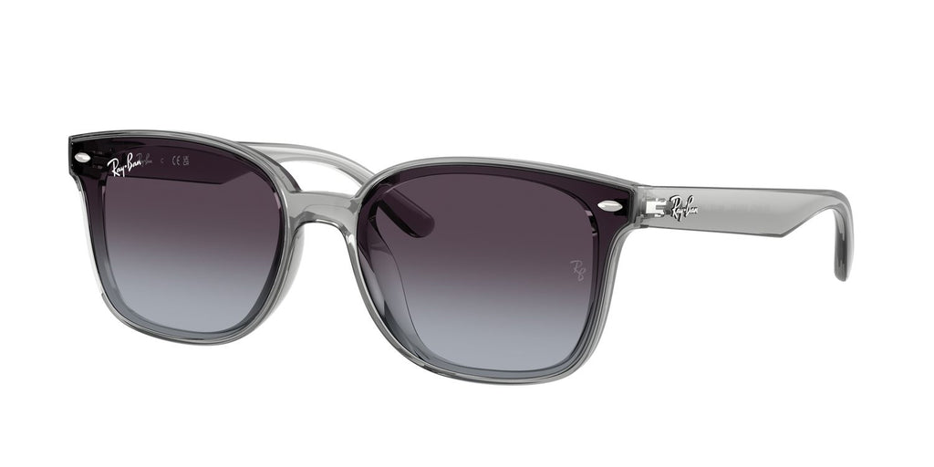 Ray-Ban | 0RB4461D