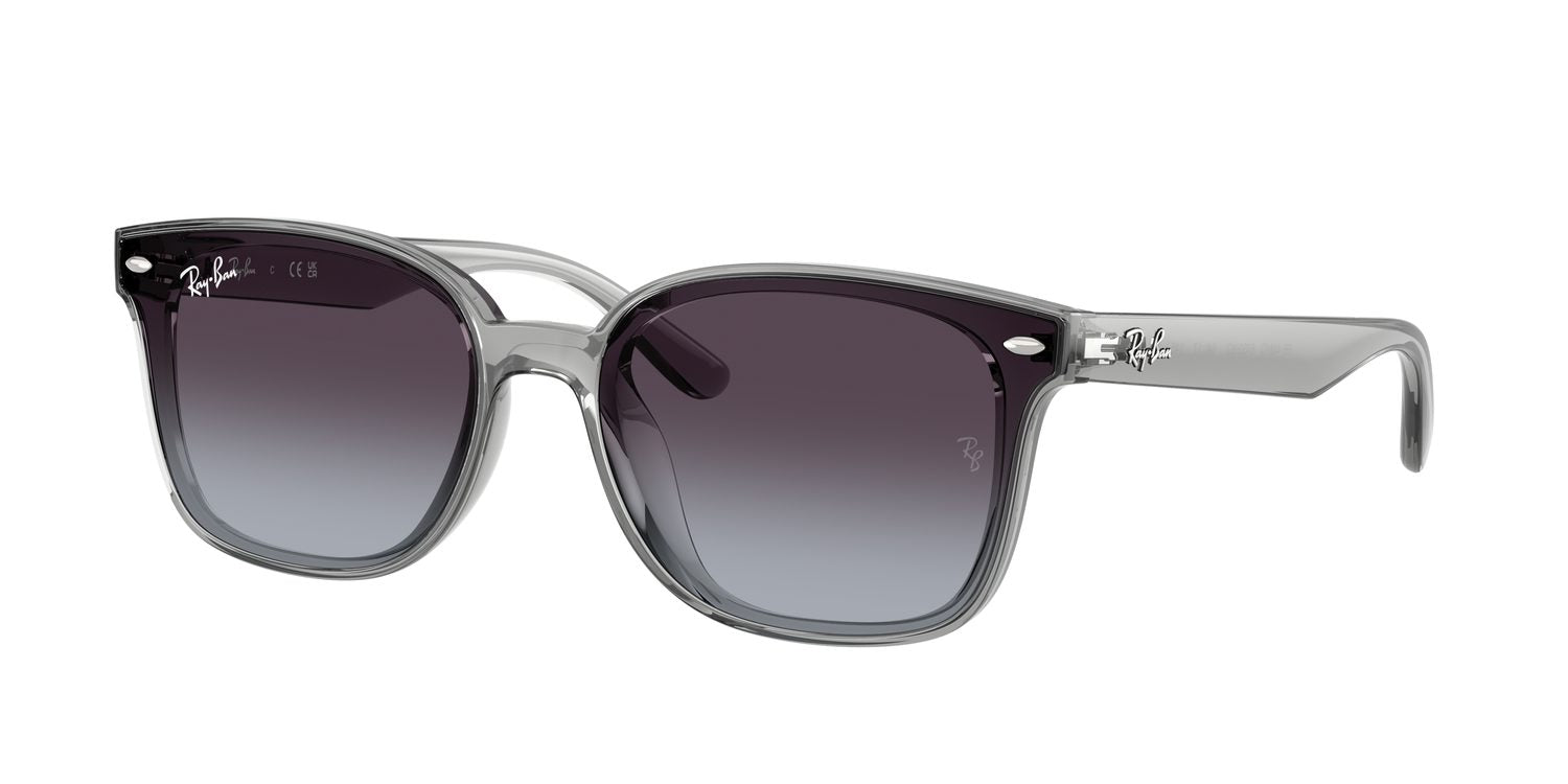 Ray-Ban | 0RB4461D