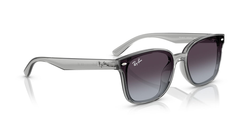 Ray-Ban | 0RB4461D