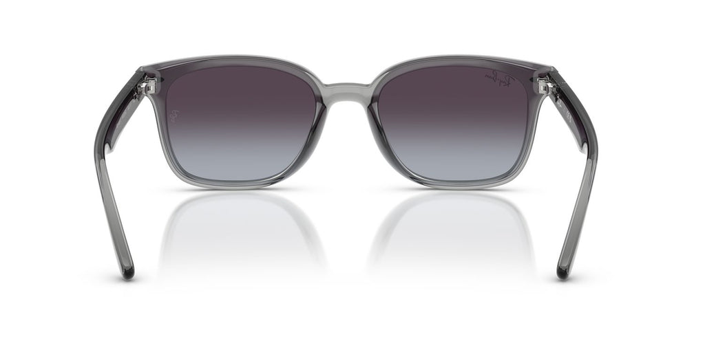 Ray-Ban | 0RB4461D