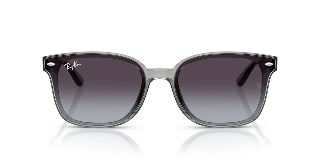 Ray-Ban | 0RB4461D