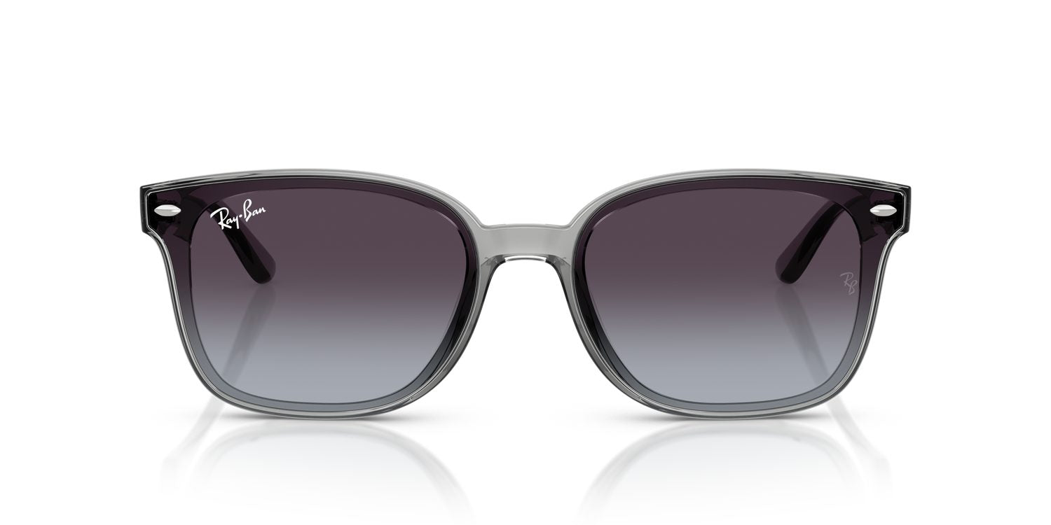 Ray-Ban | 0RB4461D