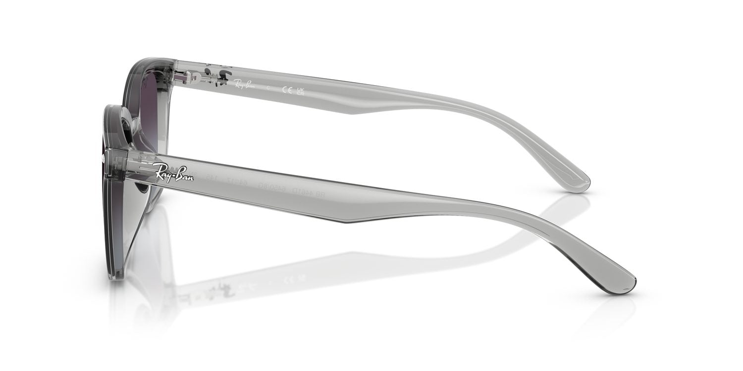 Ray-Ban | 0RB4461D
